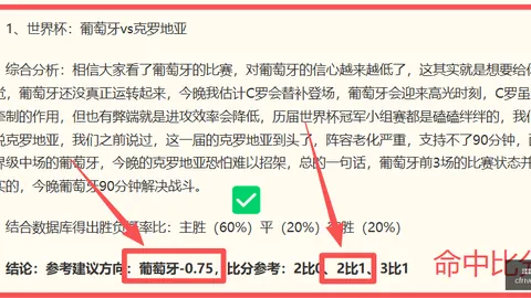 2026世界杯大：阿根廷队轮换策略深度分析，40场精彩再现